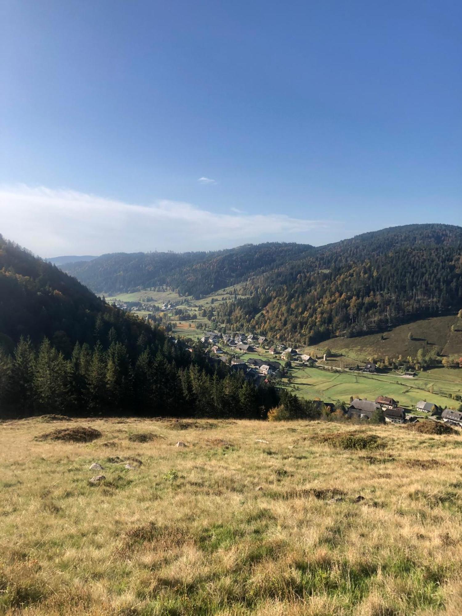 Forest Apartment-Forest Escape Menzenschwand St. Blasien Luaran gambar