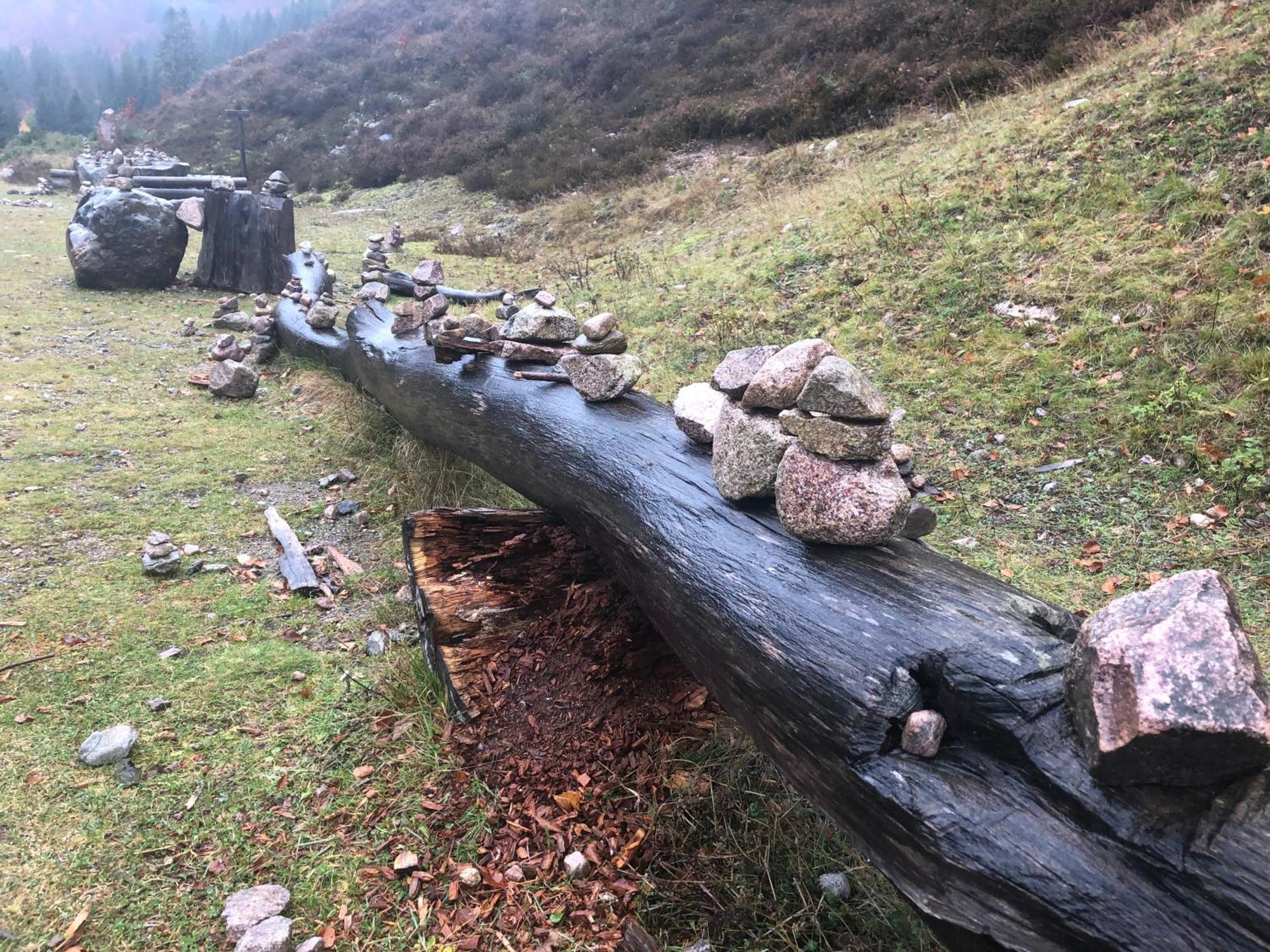 Forest Apartment-Forest Escape Menzenschwand St. Blasien Luaran gambar